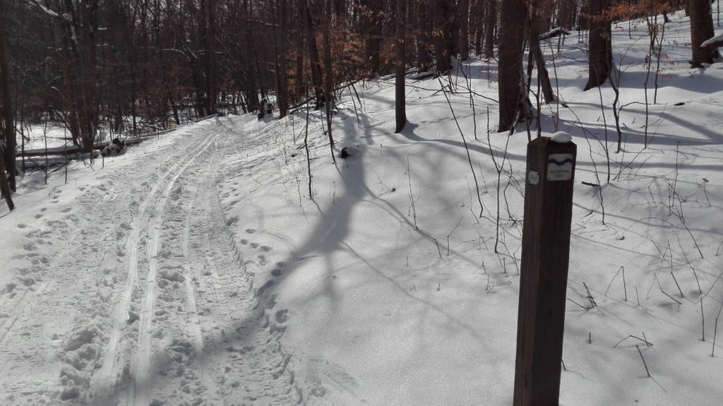 Cross Country Skiing